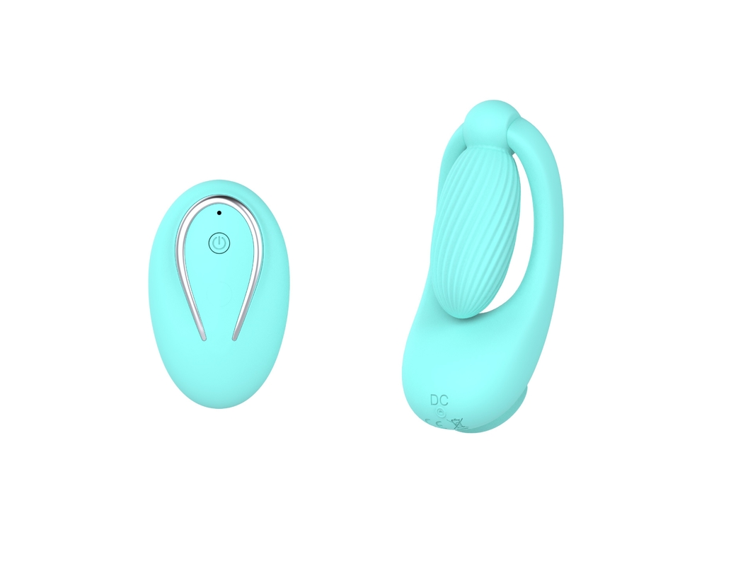 10 Patterns Wireless Remote Control Wearable Vibrator For Women IPX7 DF964