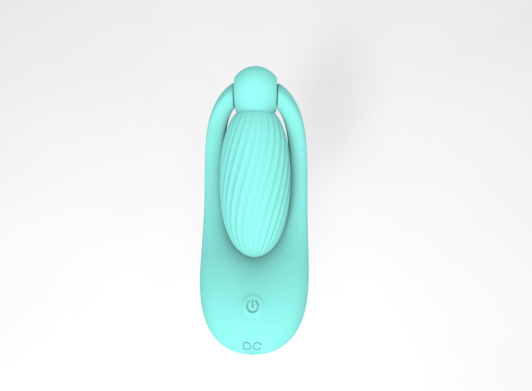 10 Patterns Wireless Remote Control Wearable Vibrator For Women IPX7 DF964