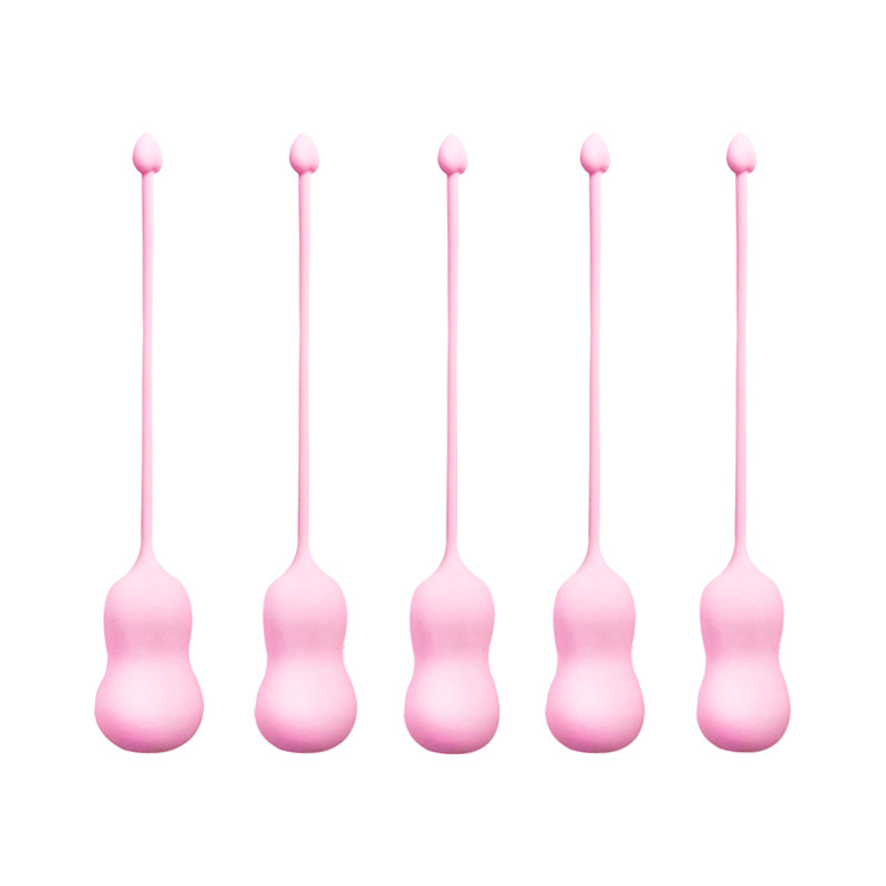 Dingfoo Female Vagina Shrink Balls Kegel Ball Set Medical Grade Silicone DF035